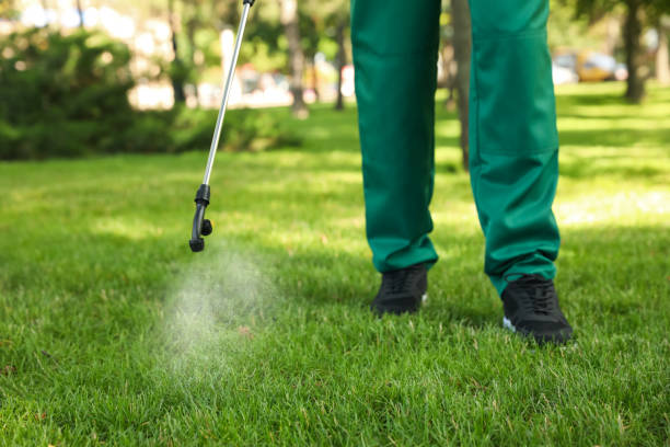 Best Local Pest Control Services  in Belding, MI