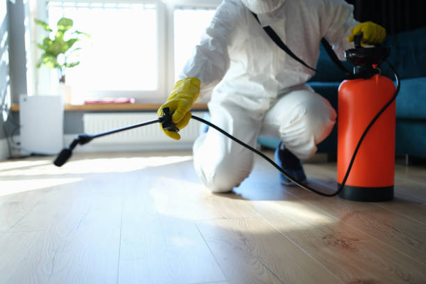 Trusted Belding, MI Pest Control Experts