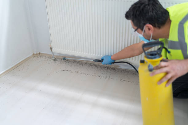 Best Bed Bug Extermination  in Belding, MI