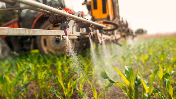Best Insect Control  in Belding, MI